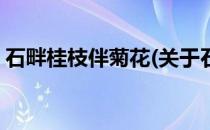 石畔桂枝伴菊花(关于石畔桂枝伴菊花的简介)