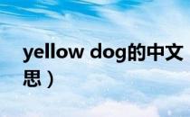 yellow dog的中文（yellow dog的中文意思）