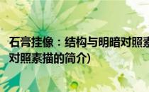 石膏挂像：结构与明暗对照素描(关于石膏挂像：结构与明暗对照素描的简介)