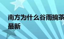 南方为什么谷雨摘茶 蚂蚁新村4月19日答案最新