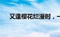 又逢樱花烂漫时，一同云赏青森的春天