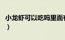 小龙虾可以吃吗里面有细菌（小龙虾可以吃吗）