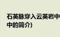 石英脉穿入云英岩中(关于石英脉穿入云英岩中的简介)