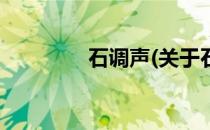 石调声(关于石调声的简介)