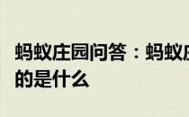 蚂蚁庄园问答：蚂蚁庄园做超声检查时医生涂的是什么