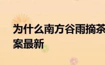 为什么南方谷雨摘茶？ 蚂蚁新村4月19日答案最新