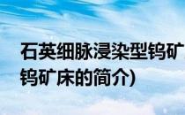石英细脉浸染型钨矿床(关于石英细脉浸染型钨矿床的简介)