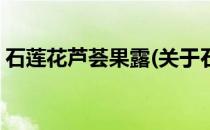 石莲花芦荟果露(关于石莲花芦荟果露的简介)