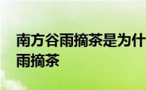 南方谷雨摘茶是为什么 蚂蚁新村今日答案谷雨摘茶