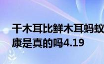 干木耳比鲜木耳蚂蚁庄园 干木耳比鲜木耳健康是真的吗4.19