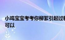 小鸡宝宝考考你柳絮引起过敏，皮肤痒痒的，去医院就医前可以