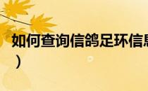 如何查询信鸽足环信息（怎么查询信鸽足环号）