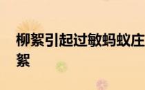 柳絮引起过敏蚂蚁庄园 蚂蚁庄园今日答案柳絮