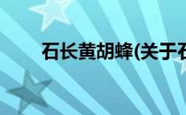 石长黄胡蜂(关于石长黄胡蜂的简介)