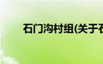 石门沟村组(关于石门沟村组的简介)