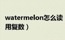 watermelon怎么读（watermelon什么时候用复数）
