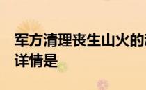 军方清理丧生山火的动物尸体  什么动物尸体详情是