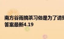 南方谷雨摘茶习俗是为了请财神还是清火辟邪 蚂蚁新村今日答案最新4.19