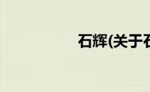 石辉(关于石辉的简介)