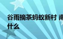 谷雨摘茶蚂蚁新村 南方谷雨摘茶习俗是为了什么