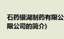 石药银湖制药有限公司(关于石药银湖制药有限公司的简介)
