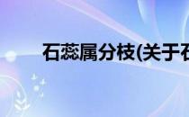石蕊属分枝(关于石蕊属分枝的简介)