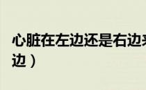 心脏在左边还是右边来着（心脏在左边还是右边）