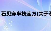 石见穿半枝莲方(关于石见穿半枝莲方的简介)