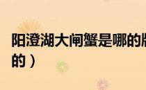 阳澄湖大闸蟹是哪的牌子（阳澄湖大闸蟹是哪的）
