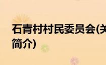 石青村村民委员会(关于石青村村民委员会的简介)