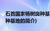 石首国家杨树良种基地(关于石首国家杨树良种基地的简介)