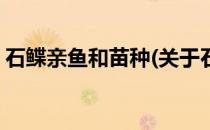 石鲽亲鱼和苗种(关于石鲽亲鱼和苗种的简介)