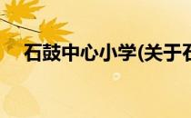 石鼓中心小学(关于石鼓中心小学的简介)