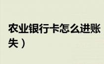 农业银行卡怎么进账（农业银行卡怎么进行挂失）
