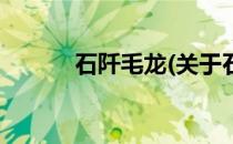 石阡毛龙(关于石阡毛龙的简介)