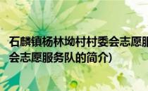 石麟镇杨林坳村村委会志愿服务队(关于石麟镇杨林坳村村委会志愿服务队的简介)