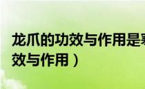 龙爪的功效与作用是寒性还是温性（龙爪的功效与作用）