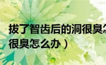 拔了智齿后的洞很臭怎么办（智齿拔了有个洞很臭怎么办）