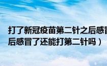 打了新冠疫苗第二针之后感冒了（请问打了第一针新冠疫苗后感冒了还能打第二针吗）