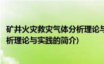 矿井火灾救灾气体分析理论与实践(关于矿井火灾救灾气体分析理论与实践的简介)