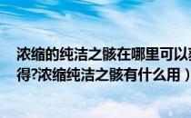 浓缩的纯洁之骸在哪里可以获得（dnf浓缩的纯洁之骸怎么得?浓缩纯洁之骸有什么用）