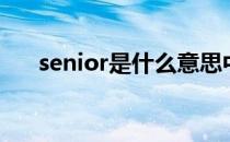 senior是什么意思中文翻译（senior）