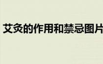 艾灸的作用和禁忌图片（艾灸的作用和禁忌）