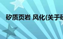 矽质页岩 风化(关于矽质页岩 风化的简介)