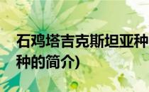 石鸡塔吉克斯坦亚种(关于石鸡塔吉克斯坦亚种的简介)