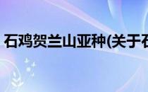 石鸡贺兰山亚种(关于石鸡贺兰山亚种的简介)