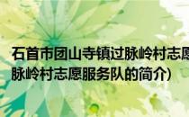石首市团山寺镇过脉岭村志愿服务队(关于石首市团山寺镇过脉岭村志愿服务队的简介)