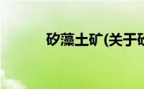 矽藻土矿(关于矽藻土矿的简介)