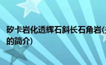 矽卡岩化透辉石斜长石角岩(关于矽卡岩化透辉石斜长石角岩的简介)