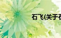 石飞(关于石飞的简介)